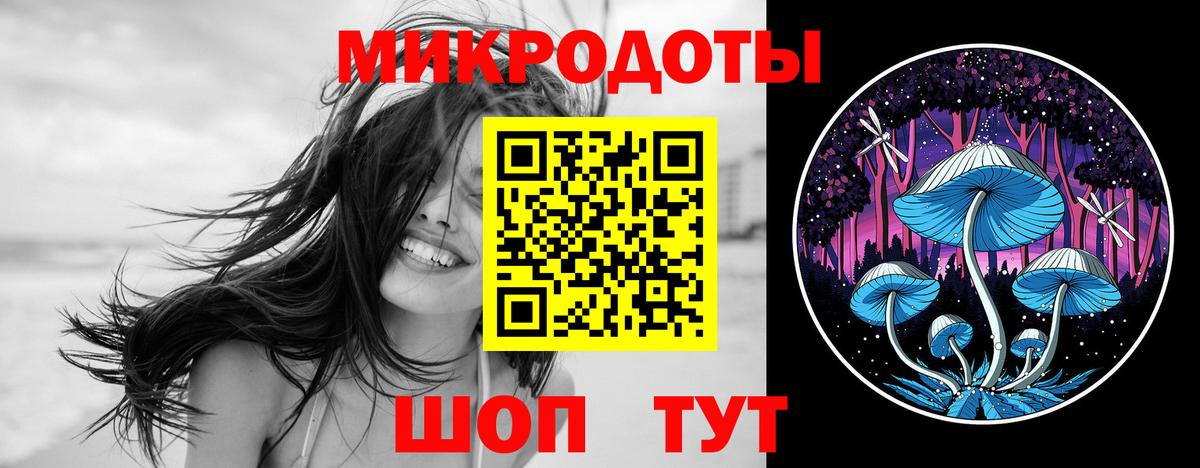 продажа наркотиков  Псилоцибиновые грибы Psilocybe  Вход с VPN  Заволжье 